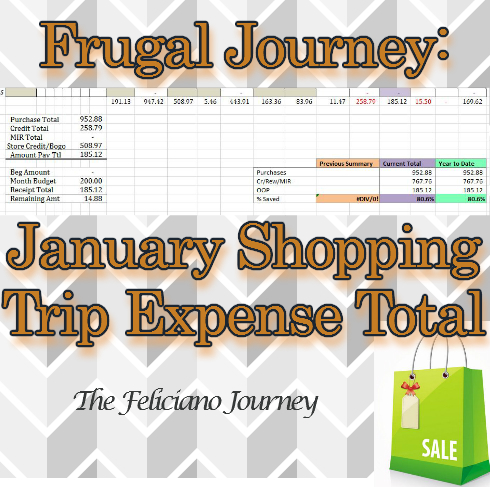 January Shopping Trip Totals