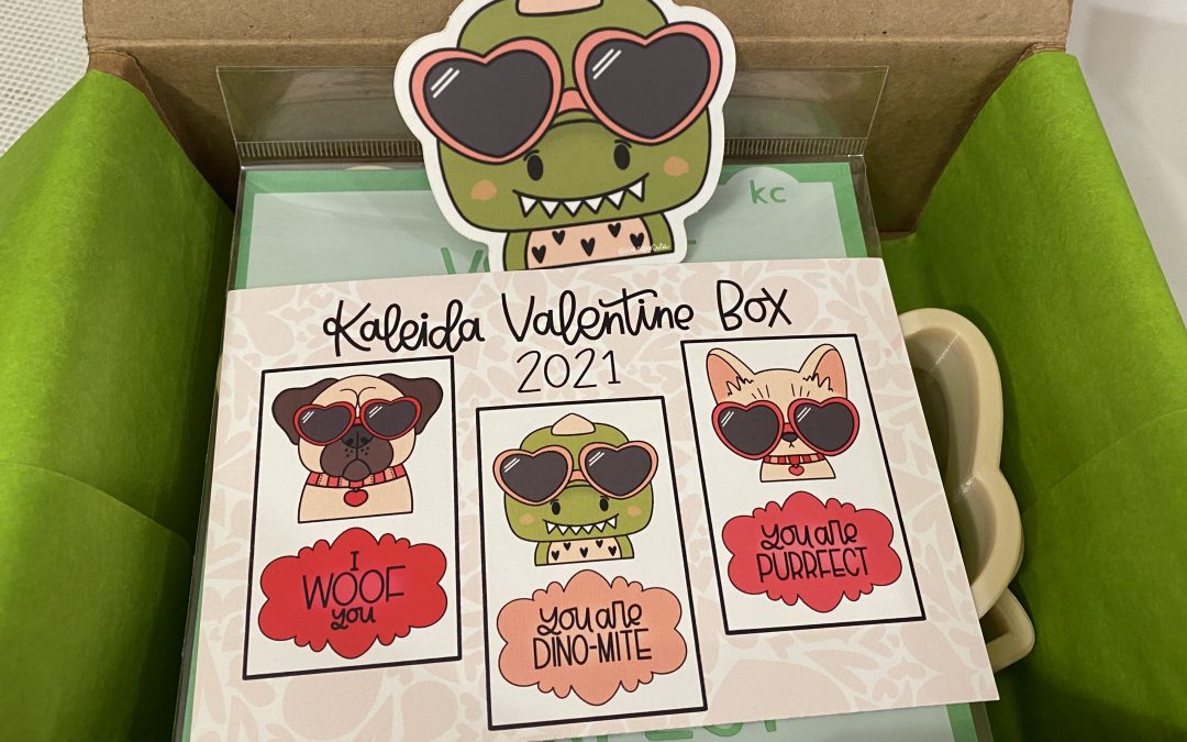 Cookie Cutter Subscription?! – First Unboxing Valentines Box 2021 – Kaleida Cuts