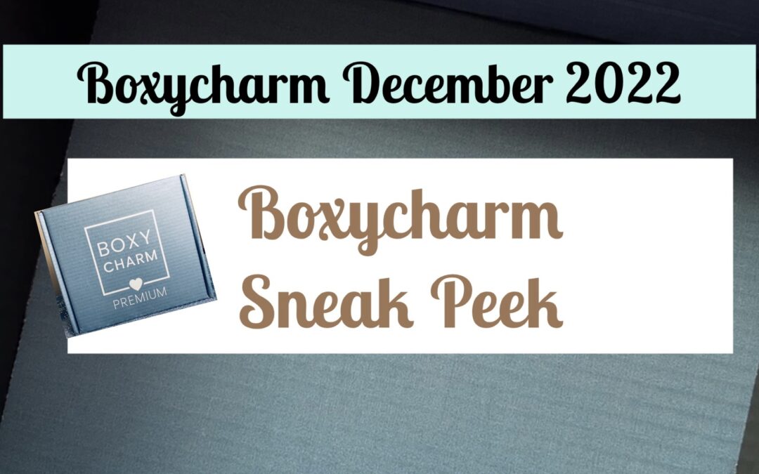Boxycharm Premium Box December 2022 Choices